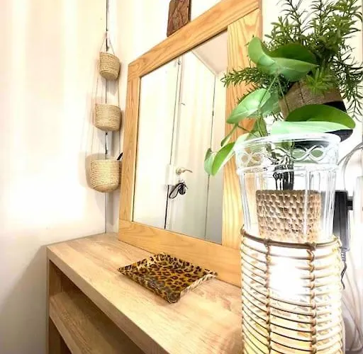 Apartment Superbe T2 Cocon En Hyper Centre-ville D'ajaccio *